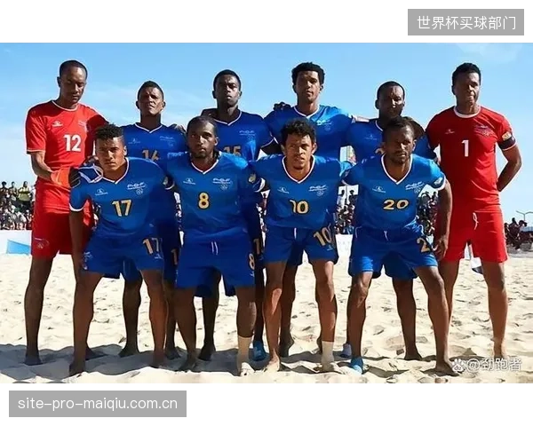 佛得角队阵容年龄结构均衡，兼具经验与活力，为首次世界杯之旅奠定基础。